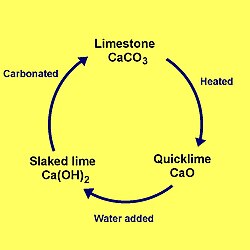 limecycle